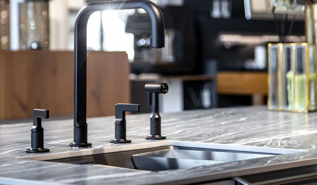 black kitchen faucet