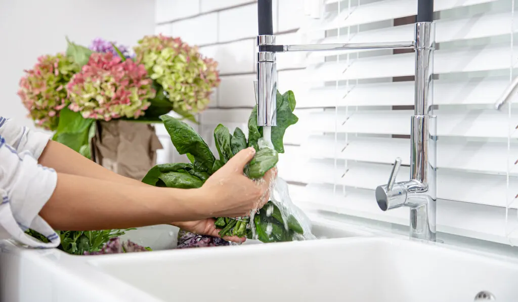 kitchen faucet used to clean vegetables