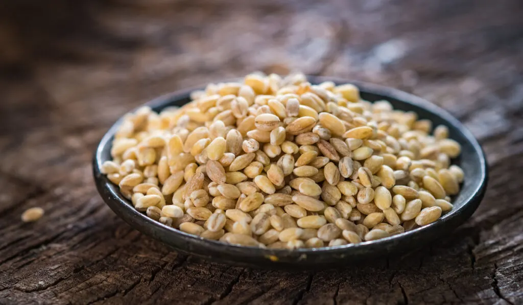 dry pearl barley