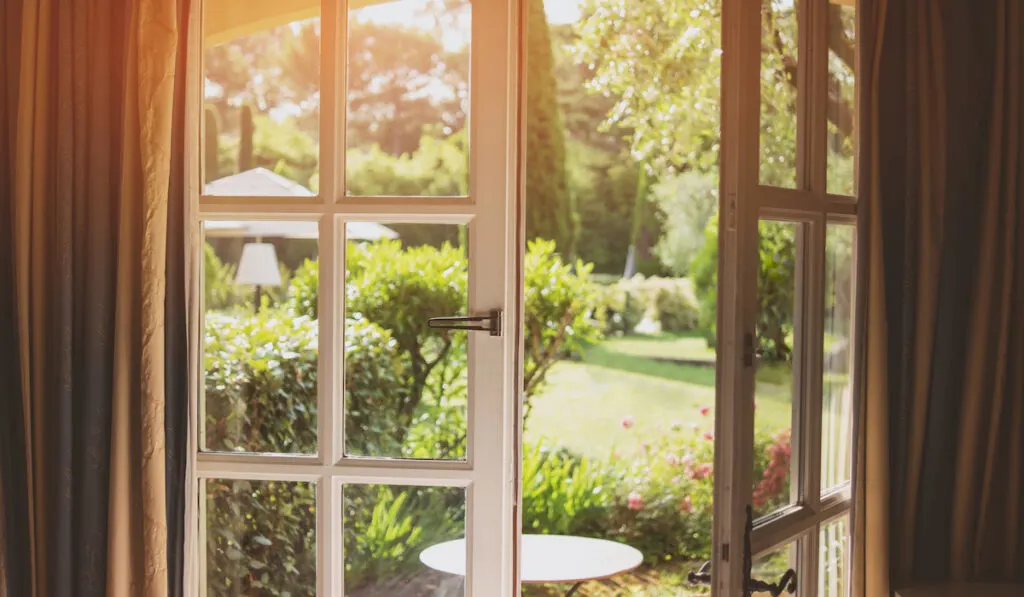 window facing garden and sunlight