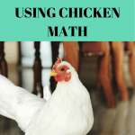 chicken math meme