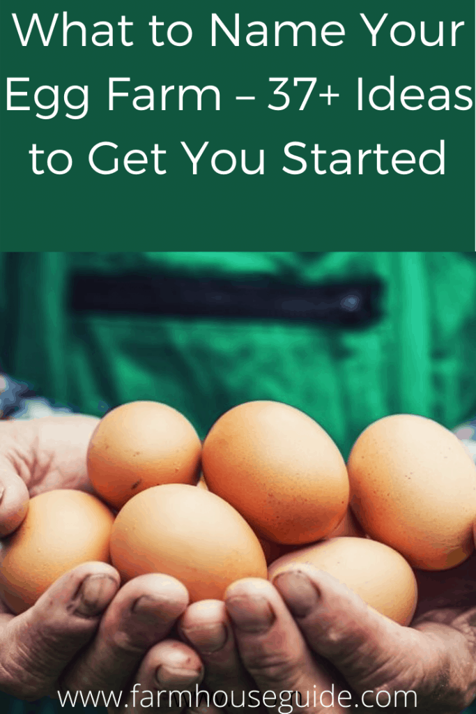 What To Name Your Egg Farm 37 Ideas To Get You Started