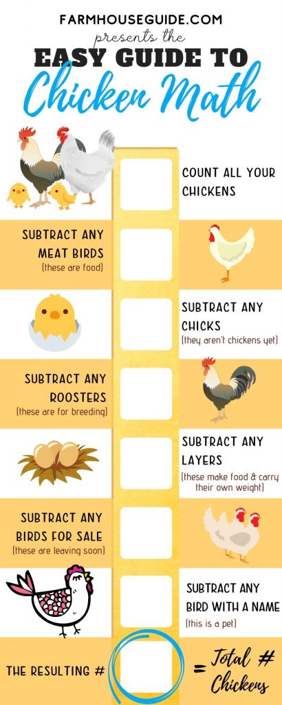 Easy Guide To Chicken Math - Pinterest Pin