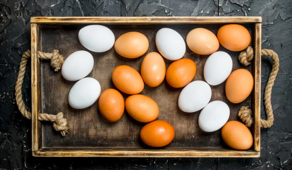 eggs on old basket