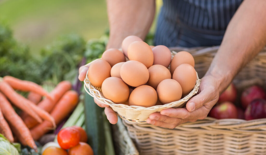 farmer holding egg