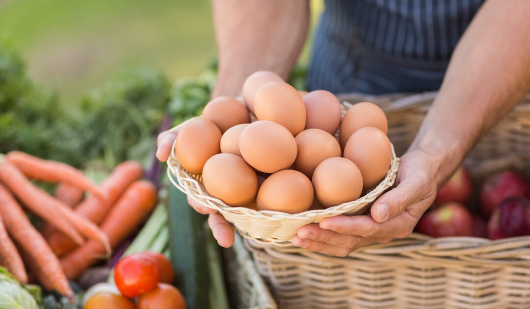 What to Name Your Egg Farm 37+ Ideas to Get You Started Farmhouse Guide