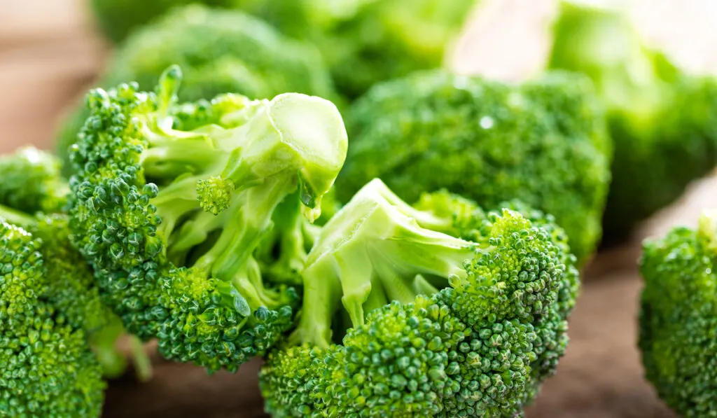 fresh broccoli