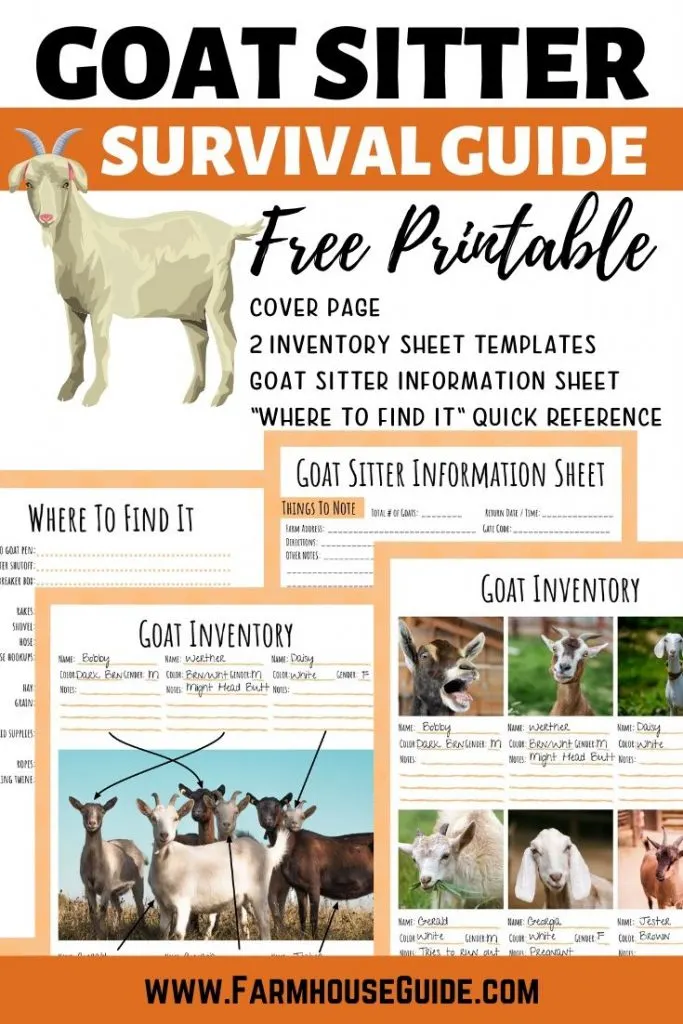 Goat Sitter Survival Guide, Pinterest pin image