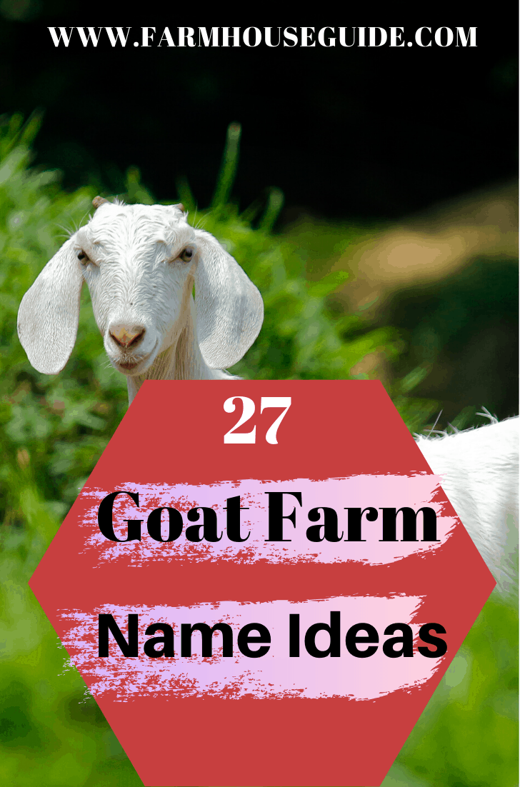 27-goat-farm-name-ideas-farmhouse-guide