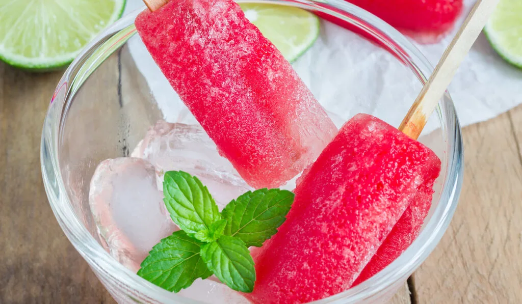 watermelon popsicles 