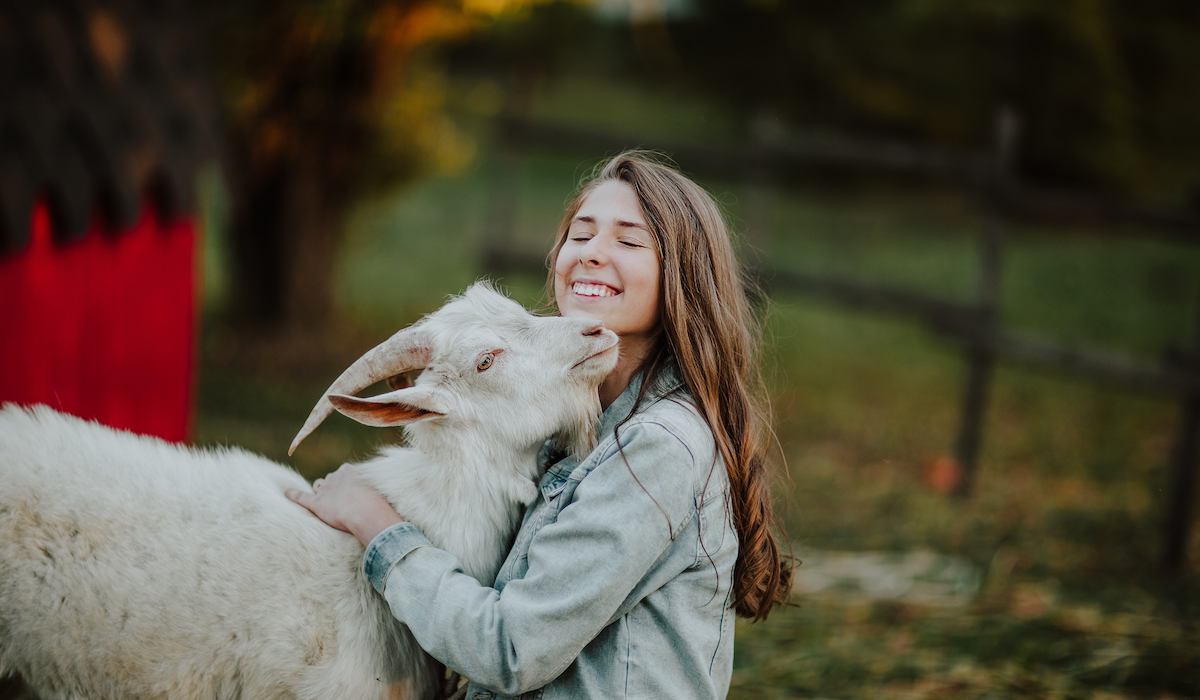 How Do Goats Show Affection? - 3 Scientifically Proven Ways - Farmhouse Guide