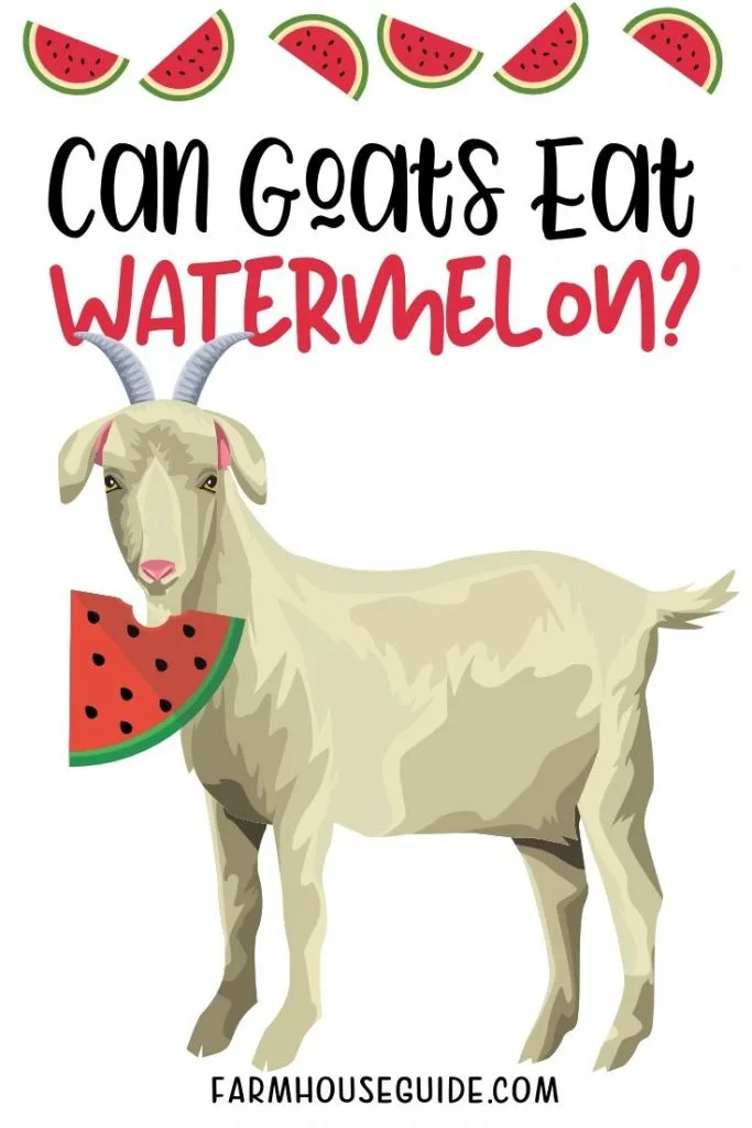 Can Goats Eat Watermelon, Pinterest Pin