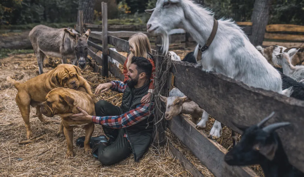 father daughter with their dog an goat plus donkey