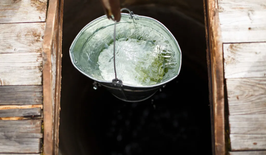 water bucket from well