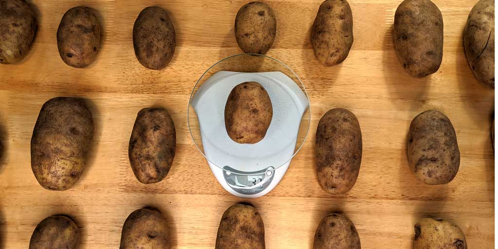 Картофель размер. Much Potatoes.