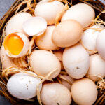 Do Chickens Pee and How Can You Keep Their Eggs Clean?