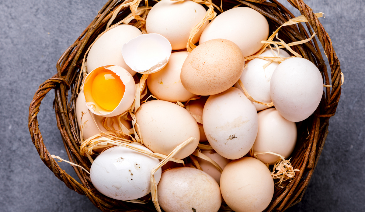Do Chickens Pee and How Can You Keep Their Eggs Clean? Farmhouse Guide
