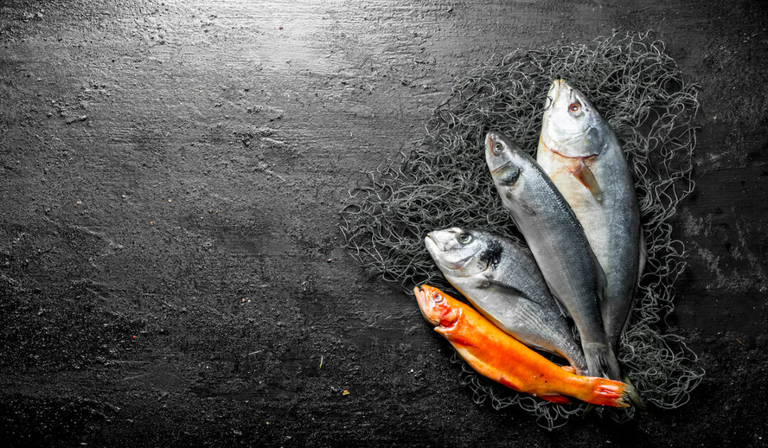 Do Geese Eat Fish? Farmhouse Guide