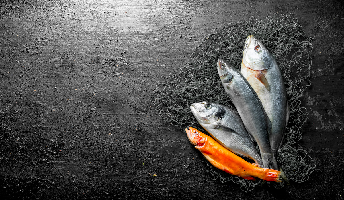 Do Geese Eat Fish? Farmhouse Guide