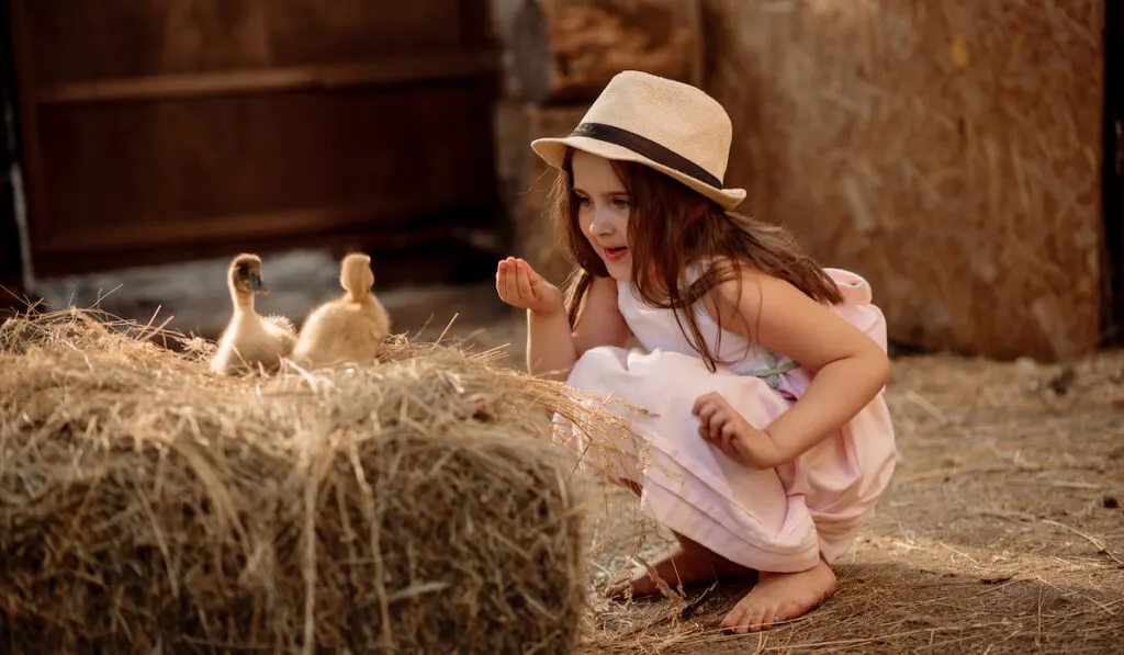 girl talking to ducklings