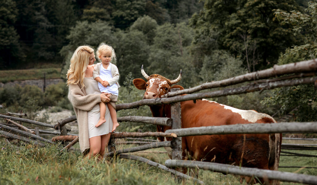 mom and daughter meeting cow