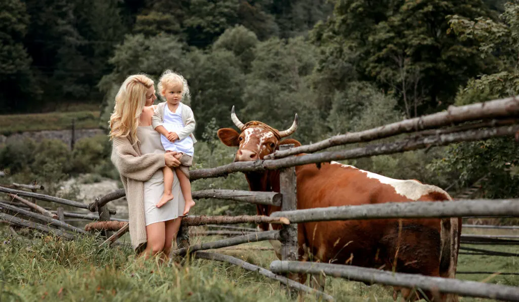 mom and daughter meeting cow
