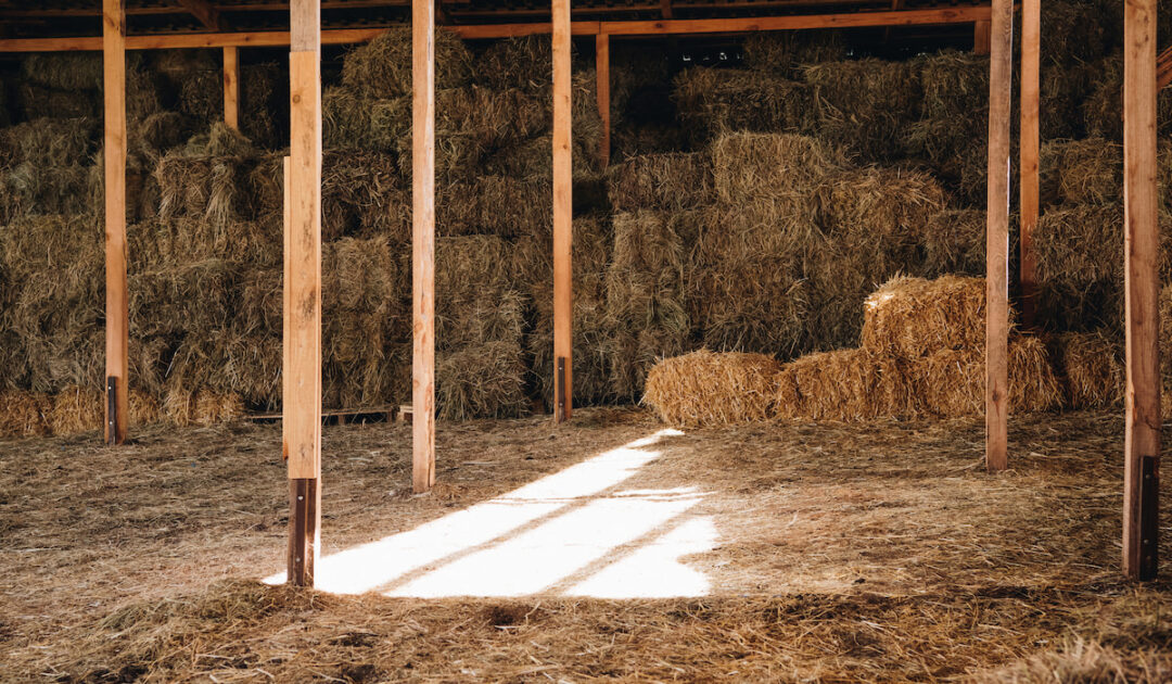 Can You Have Just One Goat? Farmhouse Guide