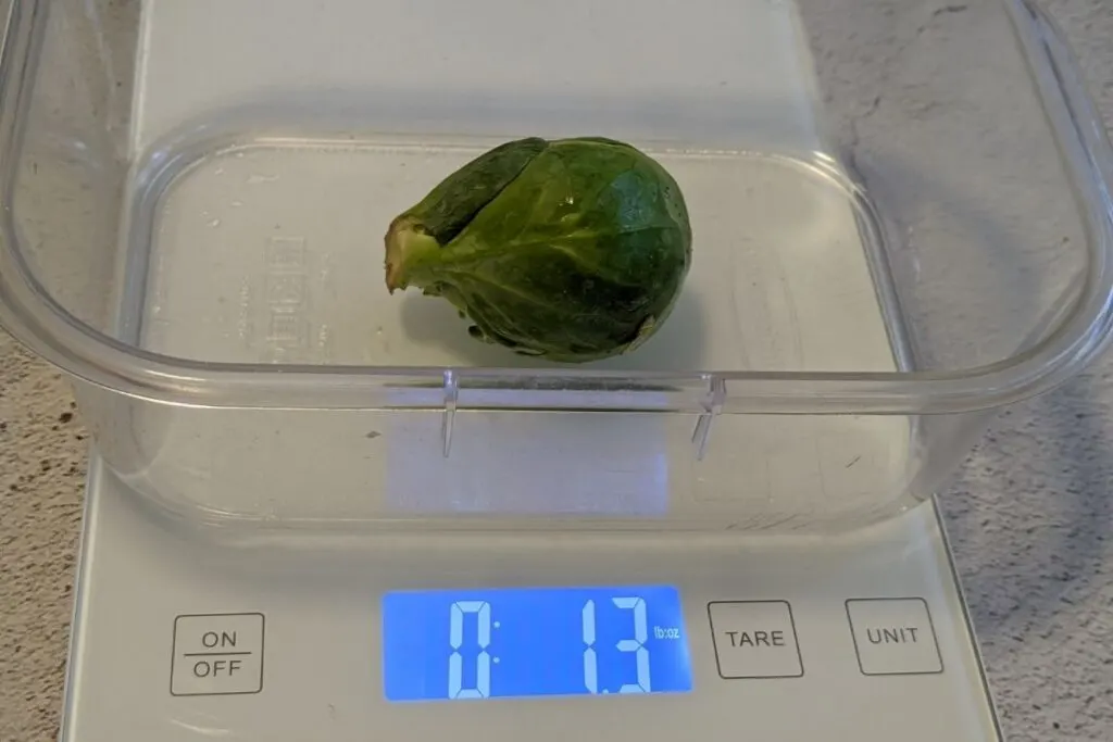 Brussel Sprout weighing 1.3 ounces