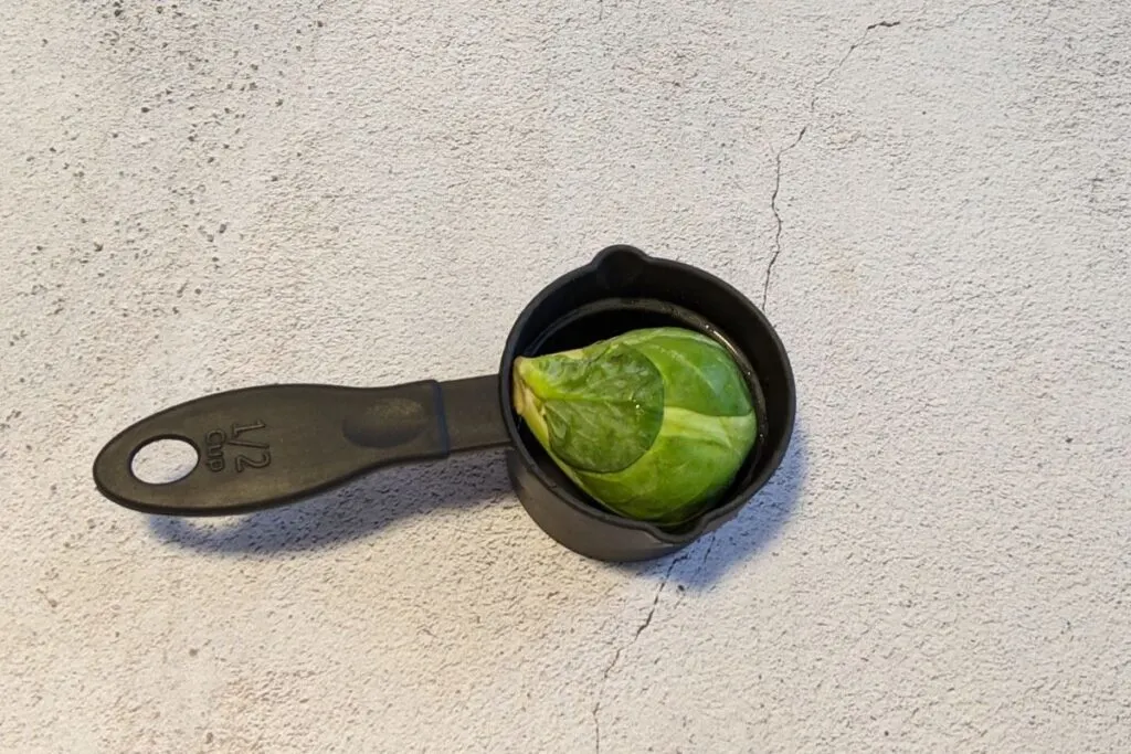 one half cup of brussel sprouts