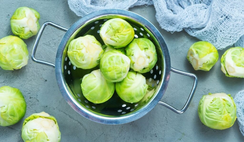 Brussels Sprout