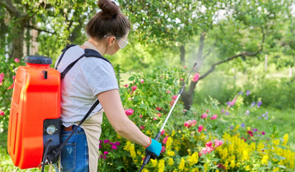 backpack garden spray