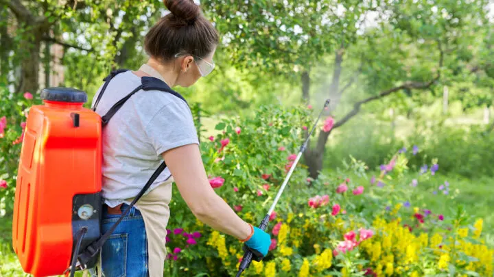 backpack garden spray