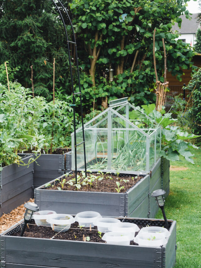 Tips for Painting Raised Garden Beds