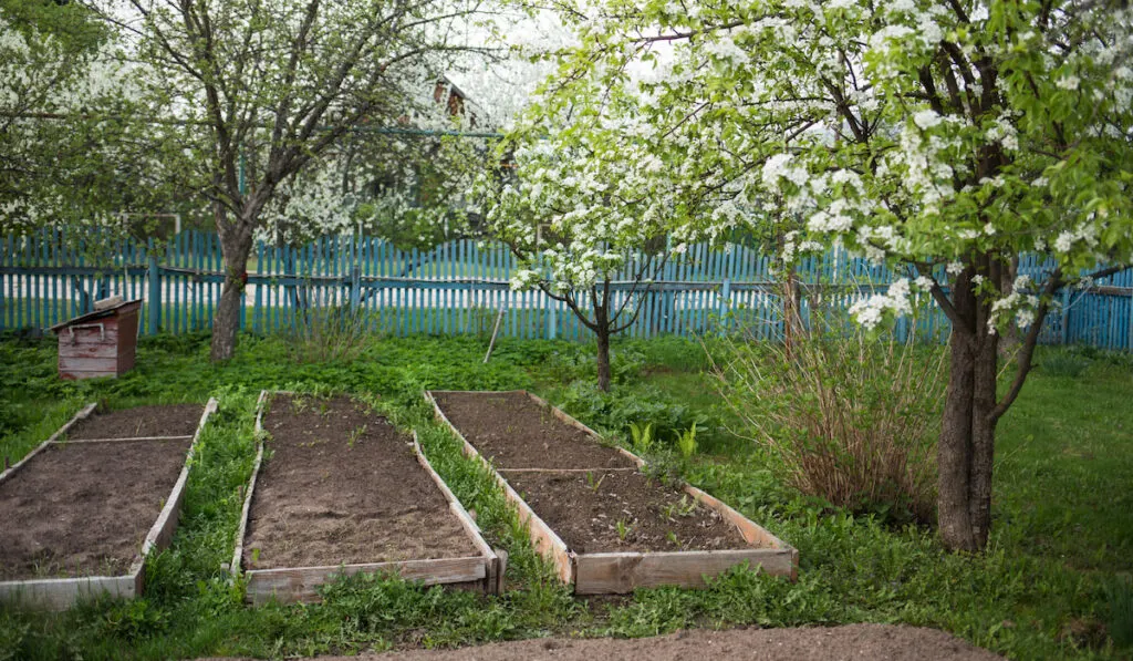 empty garden bed 