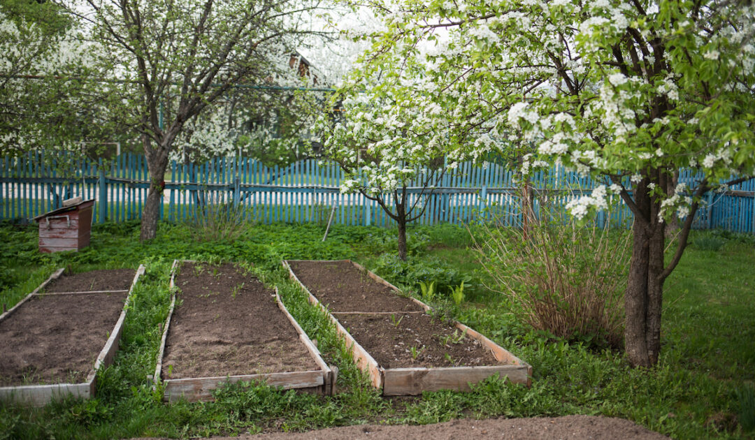 Tips for Painting Raised Garden Beds Farmhouse Guide