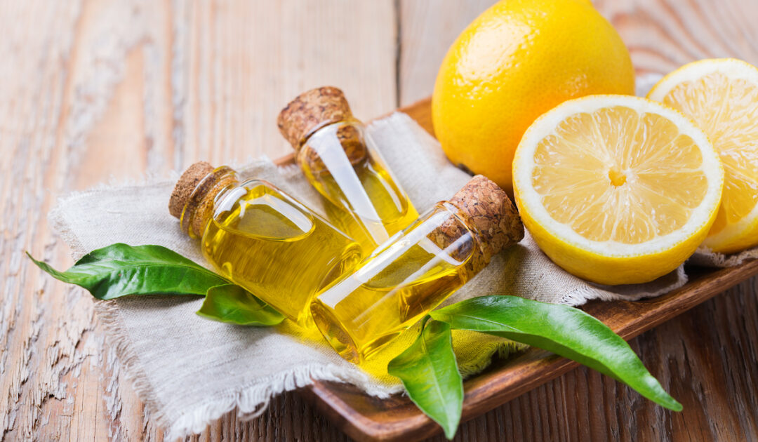 10 Ways to Tell If a Lemon is Bad Farmhouse Guide