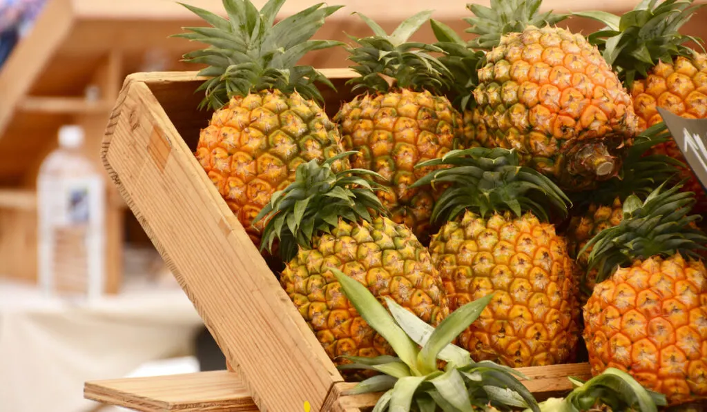 pineapples on rack