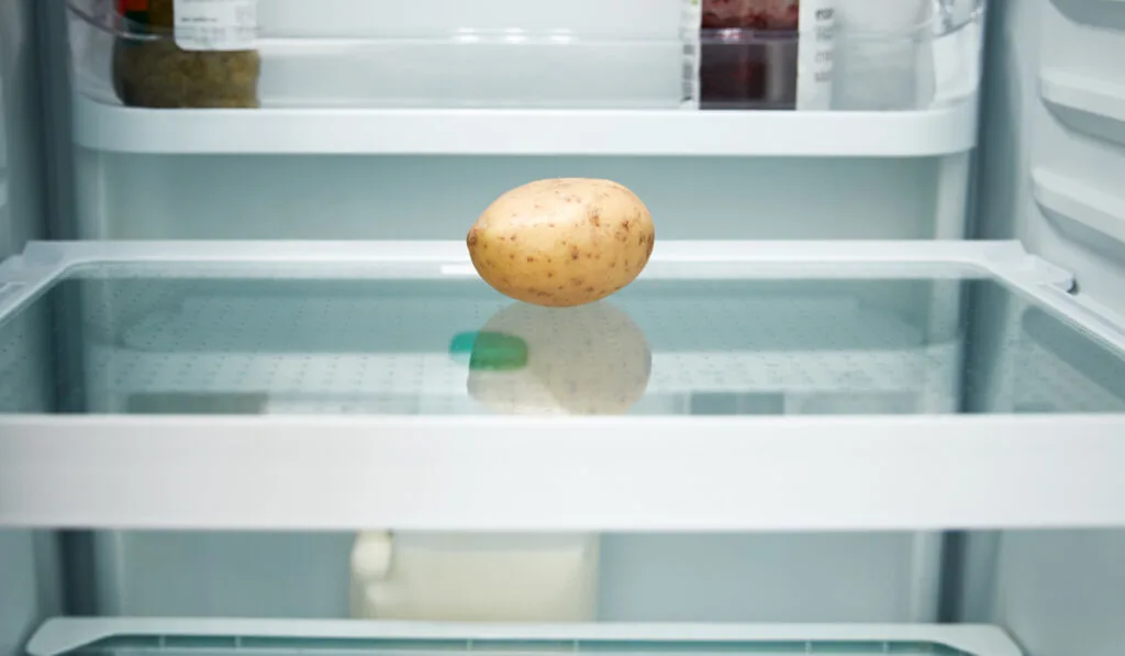 potato in fridge
