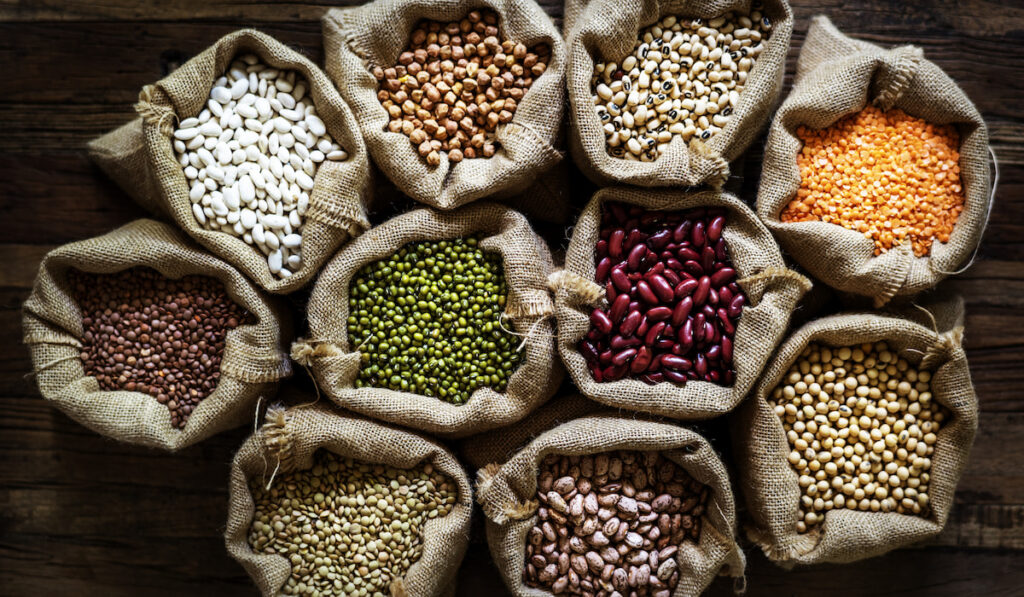 variety of seeds
