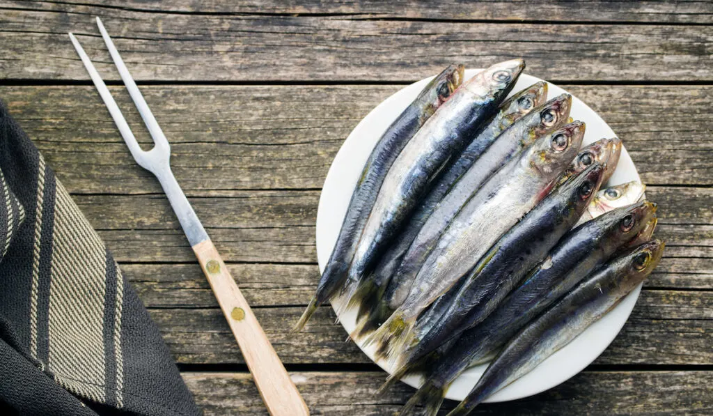 raw sardines