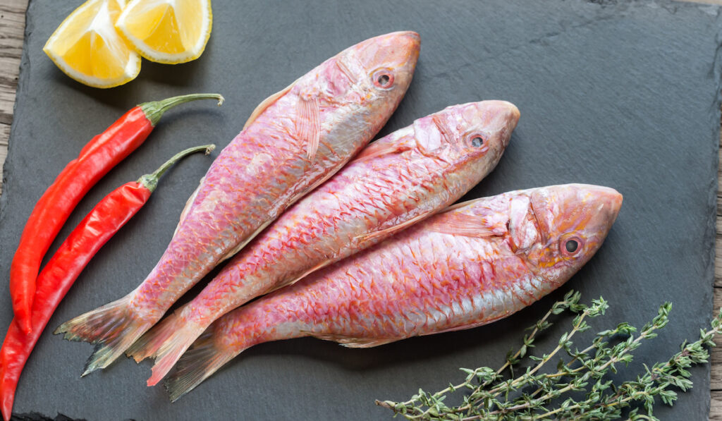 red mullet fish uncooked