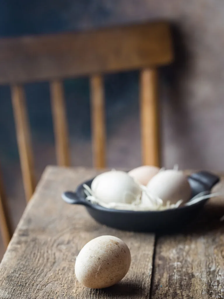 turkey egg on table