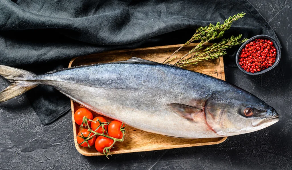 uncooked japanese amberjack