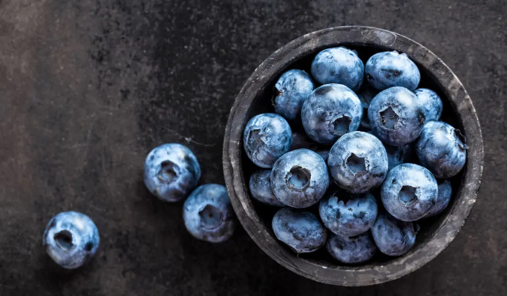 a bowl of blueberry