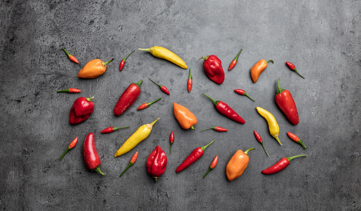 Can Chickens Eat Peppers Farmhouse Guide