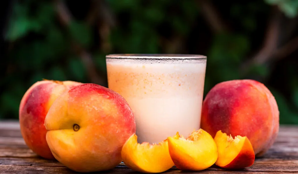 glass of yogurt peach