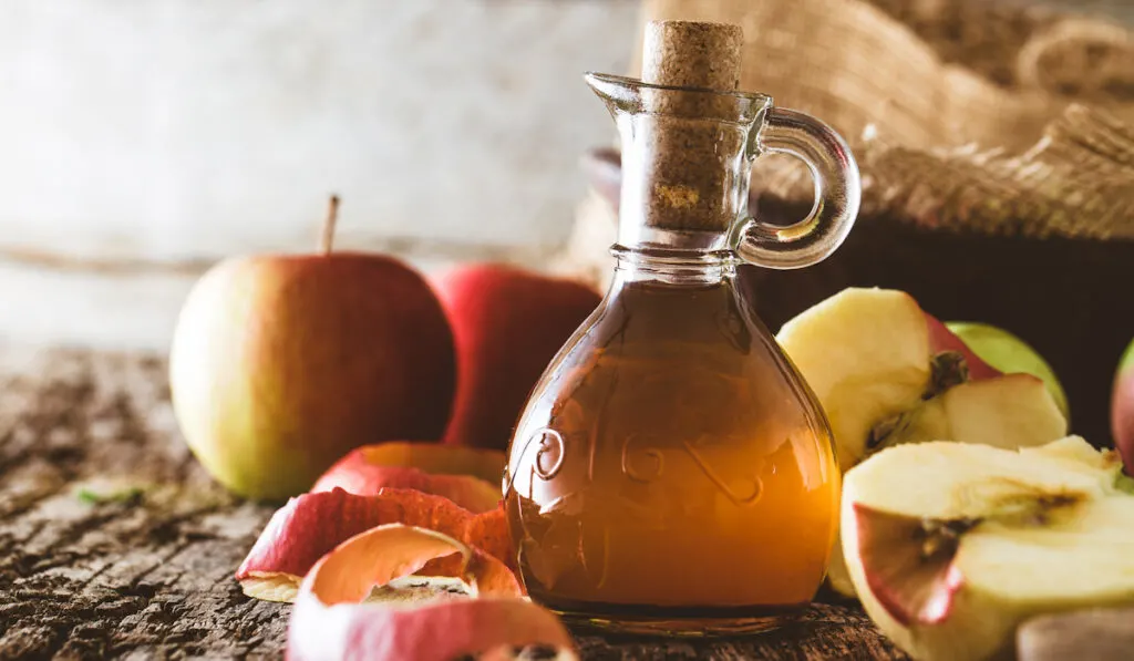 apple vinegar