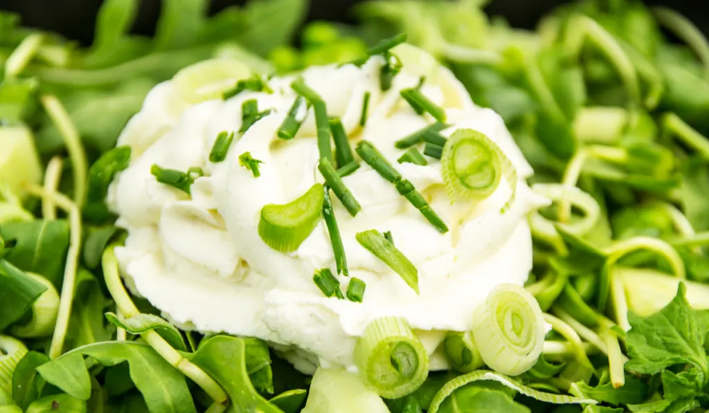 chives salad with cheese ee220331