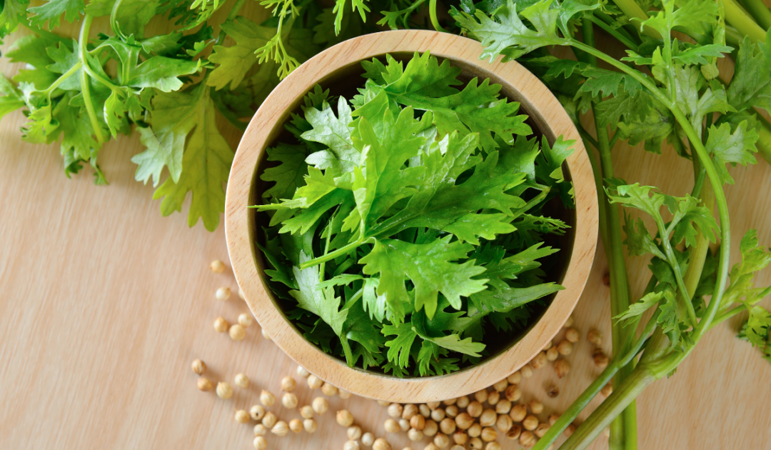 Types of Herbs Farmhouse Guide