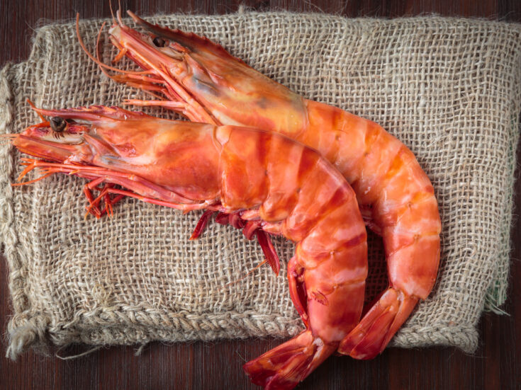 How to Tell If Shrimp Is Bad Farmhouse Guide